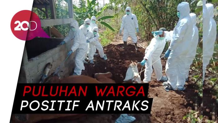 Waspada Merebaknya Wabah Antraks di Gunung Kidul