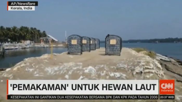 Ada Pemakaman Khusus untuk Hewan Laut di India