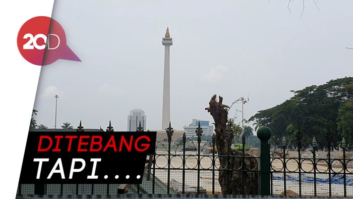 Pengelola Jelaskan Alasan Penebangan 190 Pohon di Monas