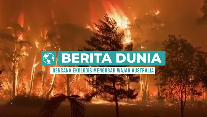 Berita Dunia: Kebakaran Hutan Mencekam di Australia 