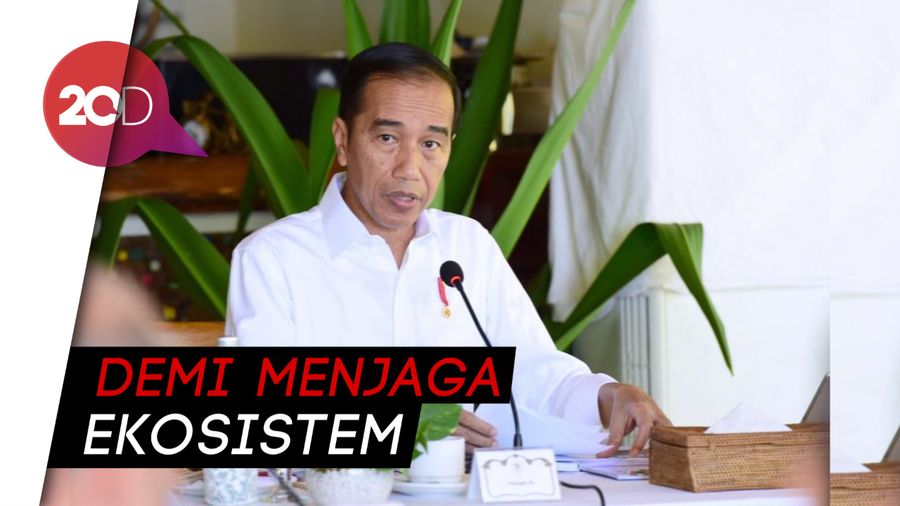  Jokowi Ingin Bersih-bersih Darat dan Laut Labuan Bajo