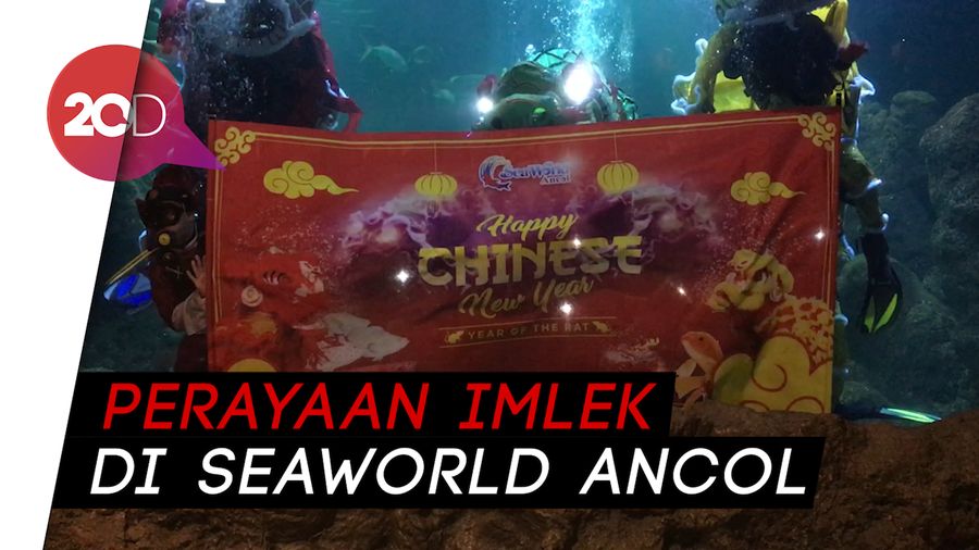 Sulitnya Atraksikan Barongsai di Dalam Air