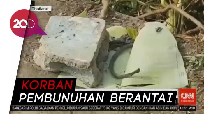 Geger Penemuan Tulang Manusia di Kolam Ikan Buas di Thailand