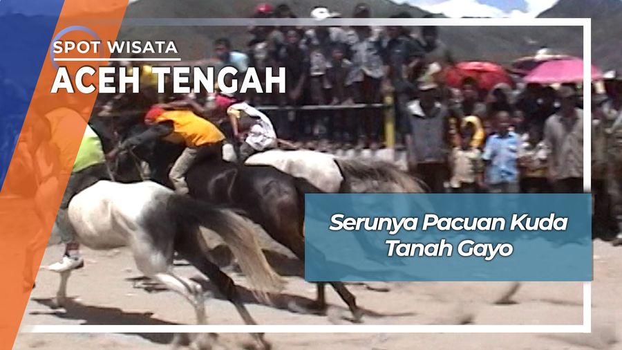 Pacuan Kuda Tanah Gayo, Aceh Tengah 