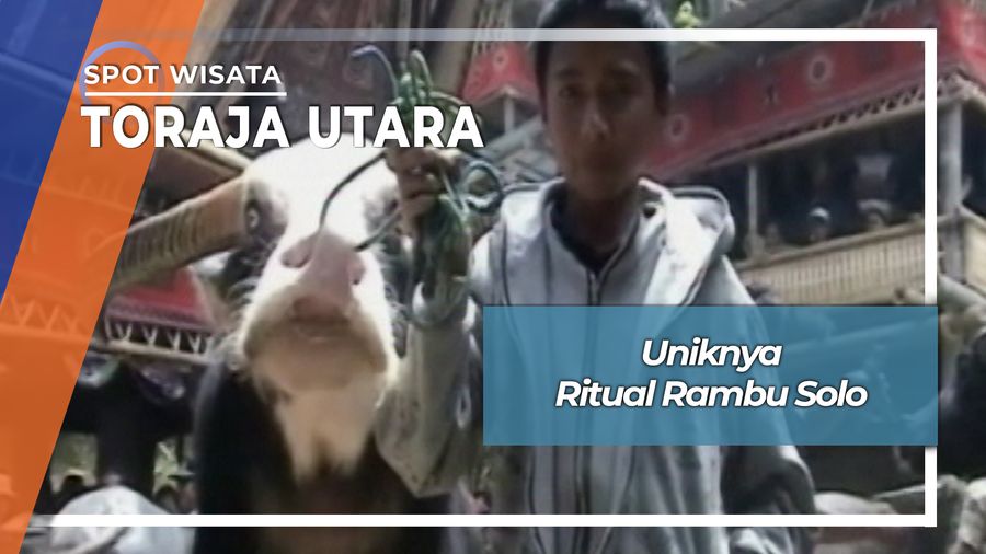 Ritual Rambu Solo, Toraja Utara