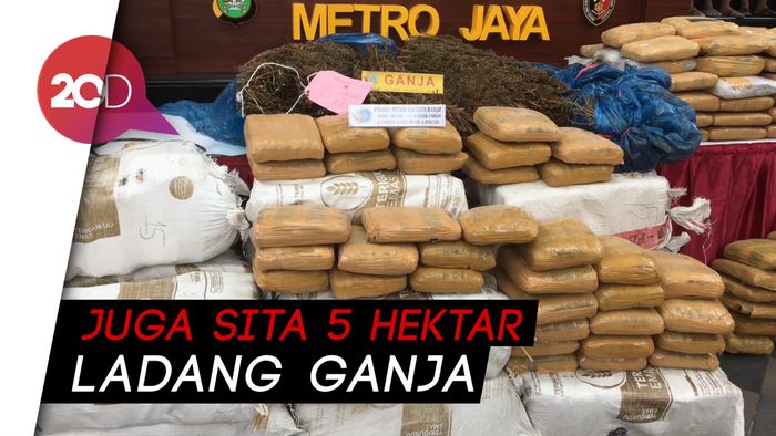 Ungkap Peredaran 1,3 Ton Ganja, Polisi Tangkap 19 Tersangka