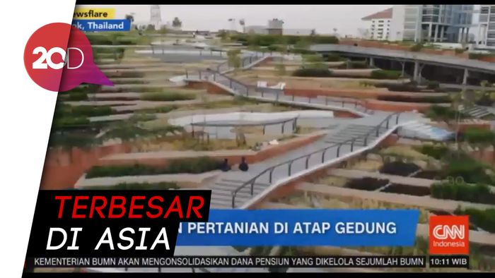 Inovatif! Atap Gedung di Thailand Disulap Jadi Lahan Pertanian