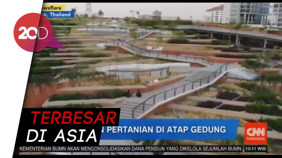 Inovatif! Atap Gedung di Thailand Disulap Jadi Lahan Pertanian