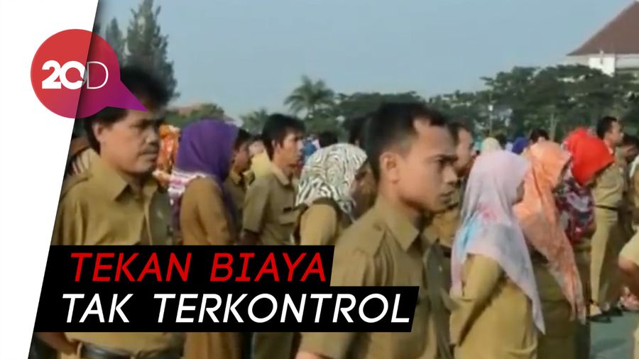 Kemen-PAN RB dan Komisi II Sepakat Hapus Tenaga Honorer