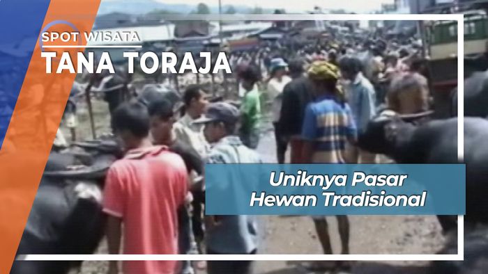 Pasar Hewan Ternak, Tana Toraja