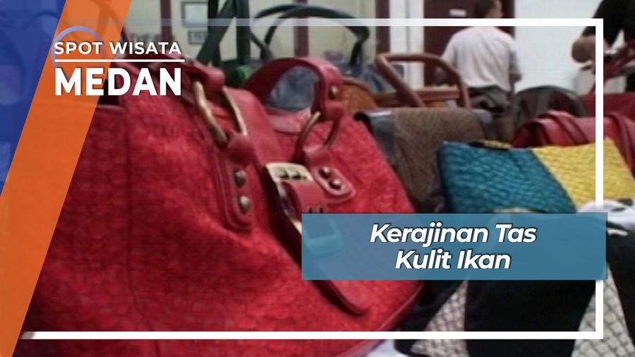 Kerajinan Tas Kulit Ikan, Medan