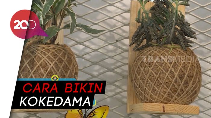 Kokedama, Tanaman Hias Bulat ala Jepang