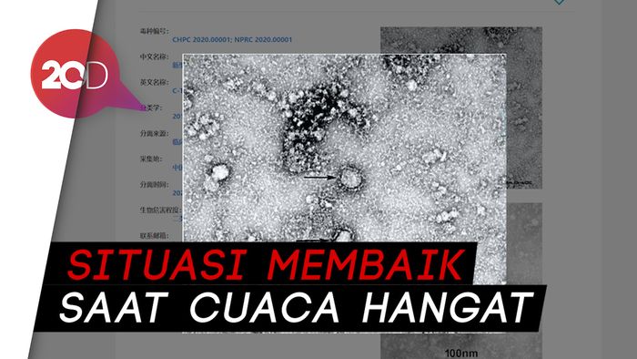 Virus Corona Diprediksi Segera Mereda