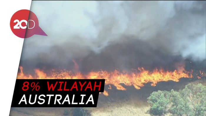  Kebakaran Hutan di Australia Tembus 18.500 Hektare, Ancam Ibu Kota