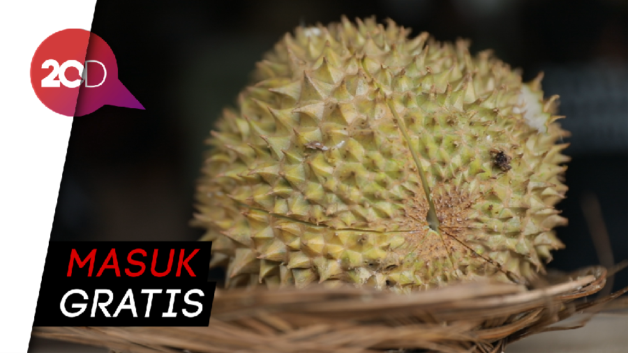 Nikmati Alam Sambil Makan Durian di Warso Farm di Bogor