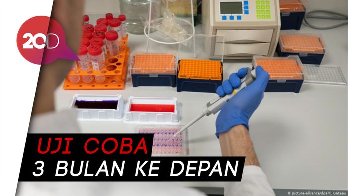 Otoritas Kesehatan AS Kebut Pengerjaan Vaksin Corona