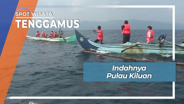 Lumba - lumba Pulau Kiluan Tenggamus Lampung