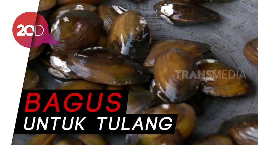 Kriuk-kriuk! Nikmati Kerenyahan Dimsum Kijing