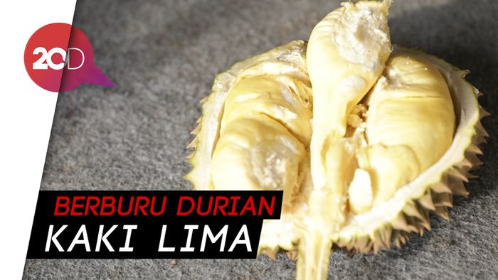 Sensasi Manis Legit Durian Monthong di Pinggiran Kota Bogor