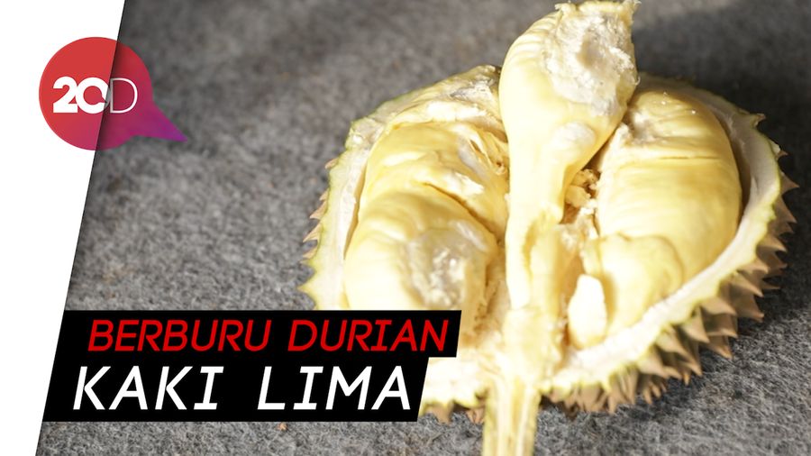 Sensasi Manis Legit Durian Monthong di Pinggiran Kota Bogor