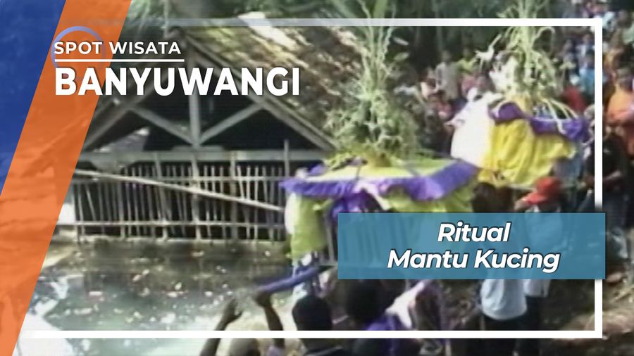 Ritual Mantu Kucing, Banyuwangi