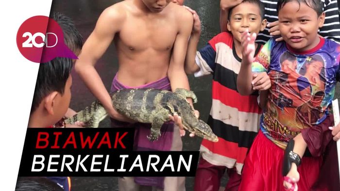 Kemayoran Banjir, Bocah-bocah Tangkap Biawak di Jalanan