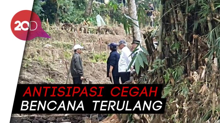 Jokowi Siap Gelontorkan Rp 1,9 T untuk Reboisasi se-Indonesia