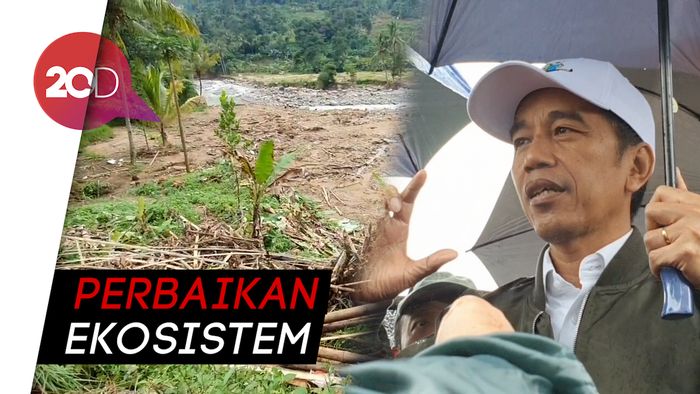 Jokowi Siapkan 92 Ribu Tanaman untuk Lokasi Longsor Sukajaya Bogor