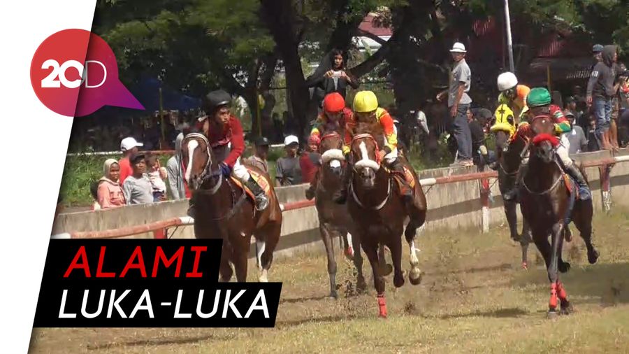 Nonton Pacuan Kuda di Dalam Lintasan, Sejumlah Orang Ditabrak