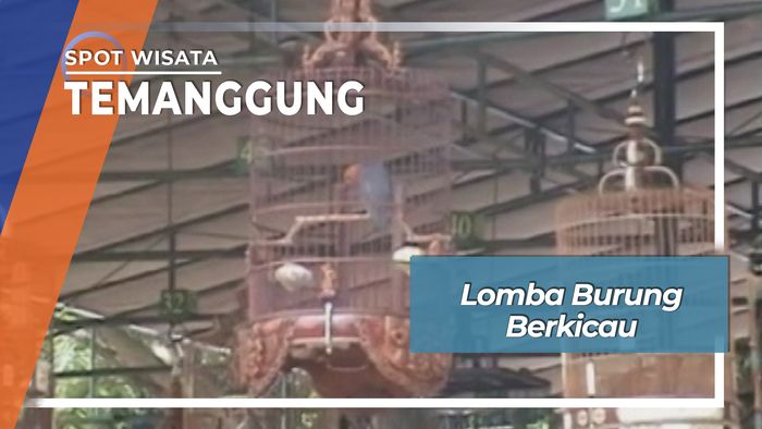 Lomba Burung Berkicau, Temanggung