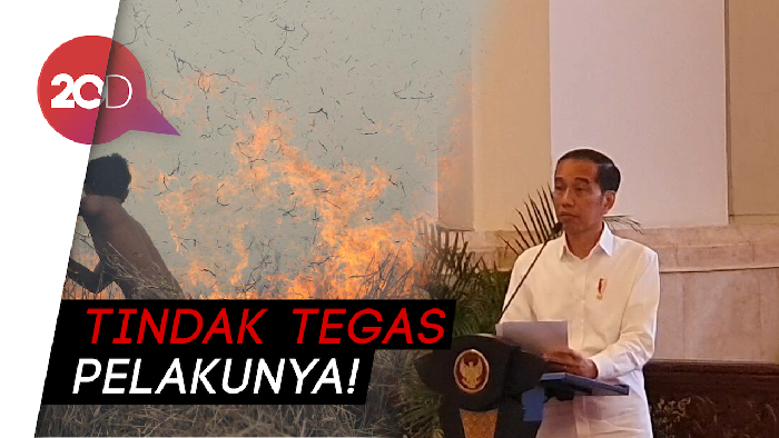 Jokowi Sebut 99% Karhutla Ulah Manusia dengan Motif Ekonomi
