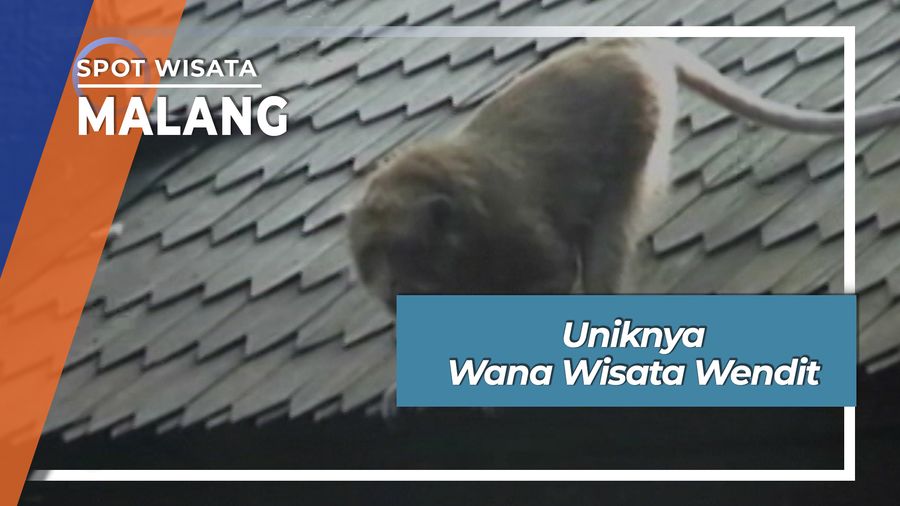 Wana Wisata Wendit Di Pakis Malang