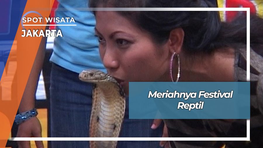 Kontes Reptil Jakarta