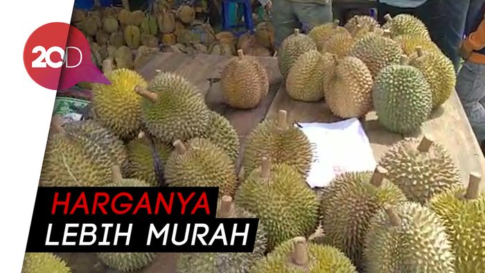 Kontes Durian Blitar Kenalkan Beragam Varietas Durian