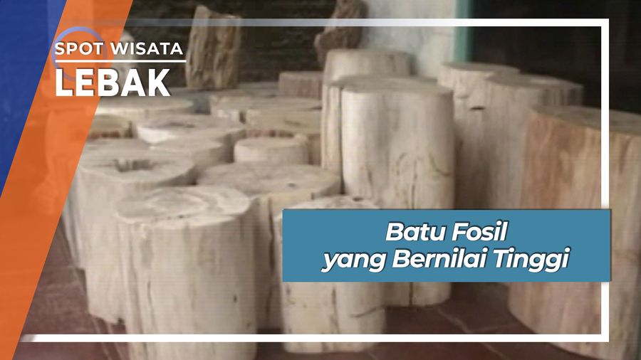 Batu Fosil yang Bernilai Tinggi, Lebak