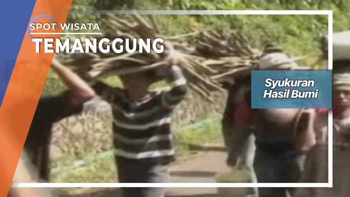Tradisi Parung Jago.  Syukuran Berkah Bumi Temanggung