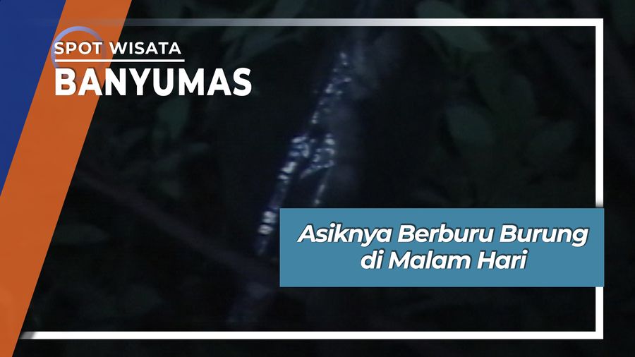 Berburu Burung di Malam Hari, Banyumas