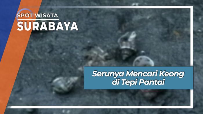 Mengisi Liburan dengan Mencari Keong, Surabaya