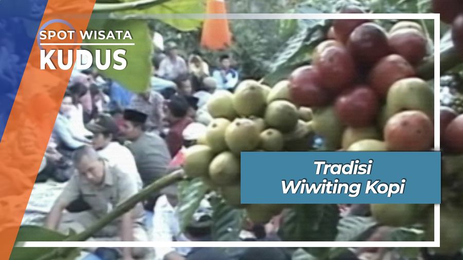 Tradisi Wiwiting Kopi, Kudus