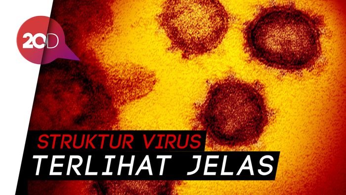Wajah Virus Corona SARS-CoV-2 di Mikroskop Elektron