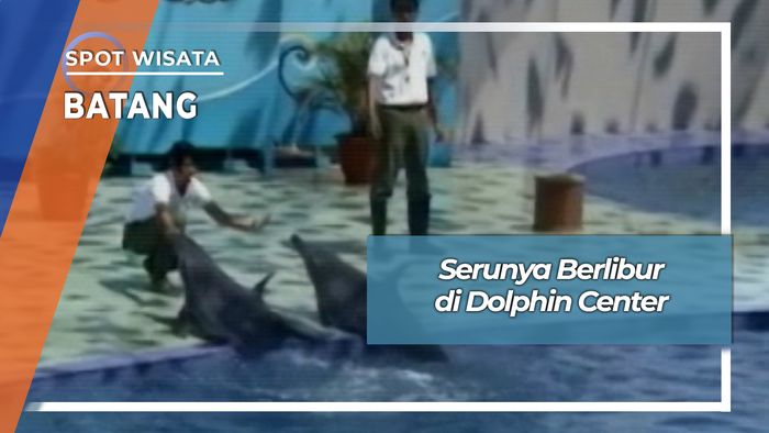 Berlibur Mengenal Satwa Di Dolphin Center Batang Jawa Tengah