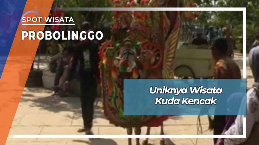 Tradisi Wisata Kuda Kencak Pantai Bentar Probolinggo