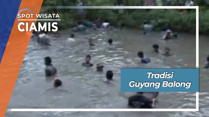 Guyang Balong, Tradisi Tangkap Ikan Desa Sindangrasa Banjarsari Ciamis