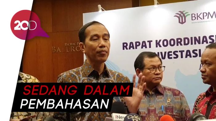 Pemerintah Masih Bahas Cara Pulangkan WNI di Kapal Pesiar Jepang