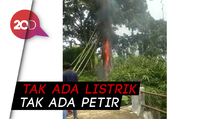 Bikin Heboh! Pohon Terbakar Misterius di Makam Pemalang