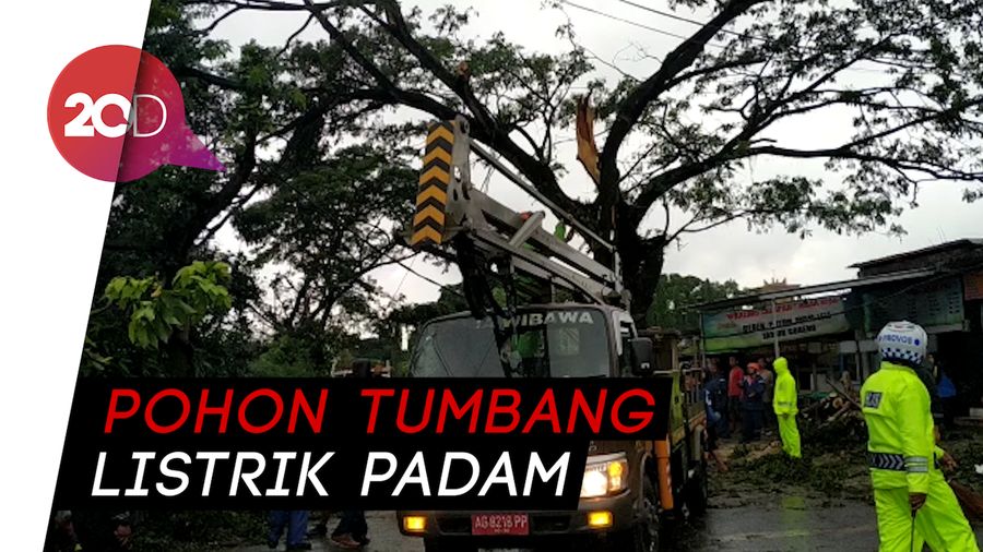 Blitar Diterjang Hujan Angin, Puluhan Pohon Tumbang