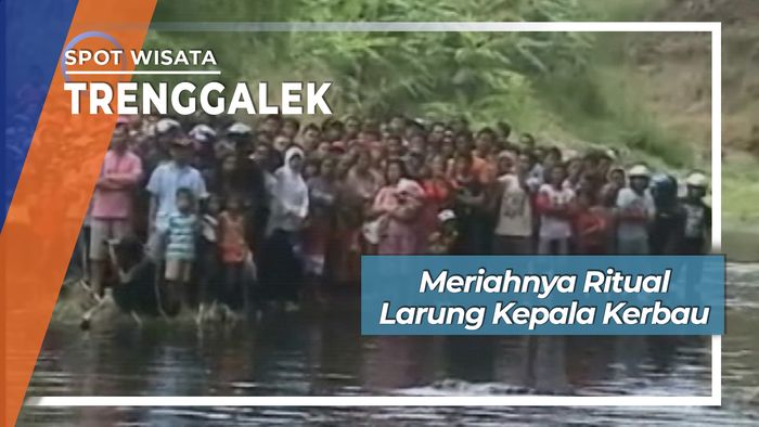 Tradisi Larung Kepala Kerbau Waduk Kedung Mbagong Desa Ngantru Trenggalek