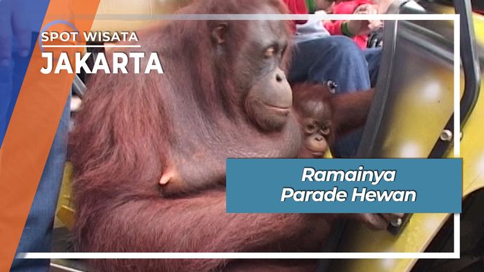 Ramainya Parade Hewan Ragunan Jakarta