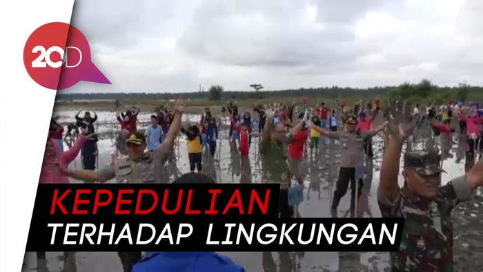 Cegah Kerusakan Pantai, 15 Ribu Mangrove Ditanam di Teluk Kendari