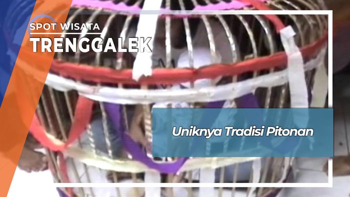 Uniknya Tradisi Pitonan, Trenggalek